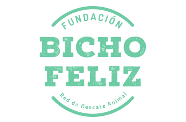 Bicho Feliz NGO