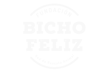 Bicho Feliz NGO