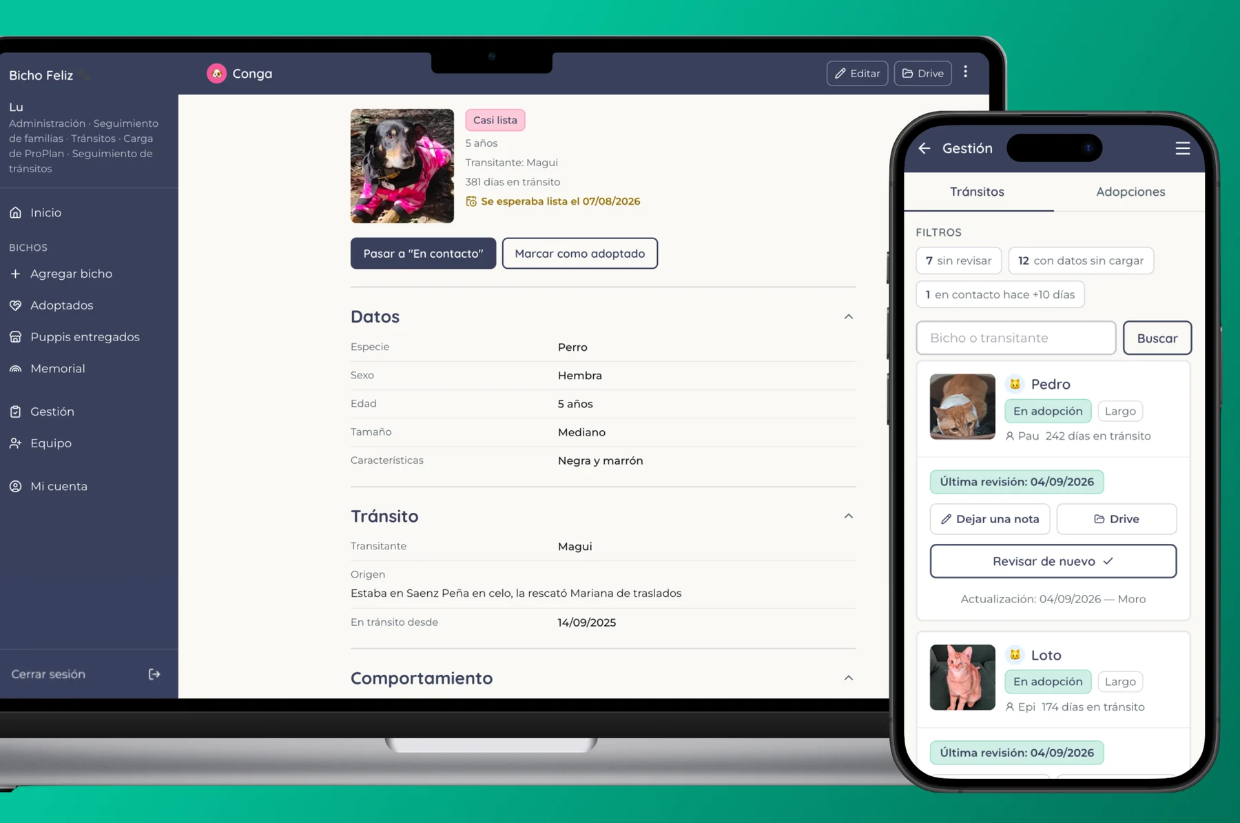 Bicho Feliz NGO: the desktop tool and the phone app